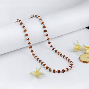 Rudraksham Chain (54/108 Beads)